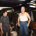 七旬老人为救猫狗，低头求人，辛酸救助看哭众人..._2