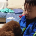 不小心踹到狗，小男孩抱狗痛哭：“你骨折没，让哥哥看看”_3