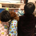 不小心踹到狗，小男孩抱狗痛哭：“你骨折没，让哥哥看看”_2