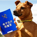 便利出行！宠物入境有新规 猫狗通关更便利_1
