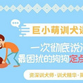 无良狗贩七大骗术_3