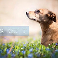 打疫苗后，还要进行血清抗体检测！_4