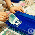 【三月赏春时 不负好春光】春醉杭州植物园 亲子踏青活动_0
