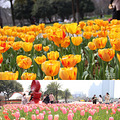 【活动】#随手拍春天#寻找杭州的春意_3