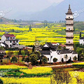 美丽的季节到了这个季节的新叶很美呀松鹿堂
