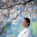 【樱花季】_1