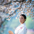 【樱花季】_5