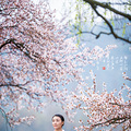 【樱花季】_0