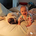 家里有宝宝可以养狗吗？不同的狗，和孩子建立不同的生活乐趣_0