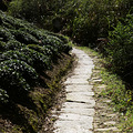 【踏青出游】+梦幻坡山，多彩的山村_4