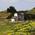 【踏青出游】+梦幻坡山，多彩的山村_3