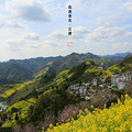 【踏青出游】皖南春色，轻徒步之石潭花海环线一日游_0