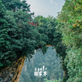 去张家界怎么玩最合适？该准备些什么？几天最合适？_2
