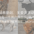 【请转发】山东动物救助站被恶意纵火，我们做了这些事_0