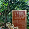 【踏青出游】+微风细雨润街头_0