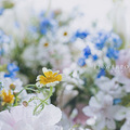 【花栖国际花艺培训】花栖作品分享——瓶花分享_1