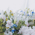 【花栖国际花艺培训】花栖作品分享——瓶花分享_2