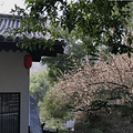 最爱的，还是这人间烟火----陈八两面馆_0