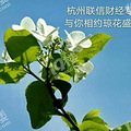 成人学历提升