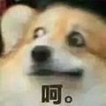 姑娘坐火车卧铺，半夜突然被陌生男子亲嘴，对方竟说……_2