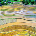 7.20-26湖北恩施 | 北纬30°神秘仙境，惊艳世界_4