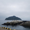 济州海底潜水挑战自己_0