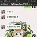 爱犬被送宠物店寄养十天后死亡，主人赶到却只见骨灰……_0