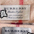 BurberryͱΧٱ_1