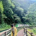 到张家界攻略，自驾游/自助游/自由行旅游怎么玩？_2