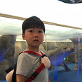 【带娃打卡】+自然博物馆看恐龙_0