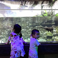 【带娃打卡】海底世界