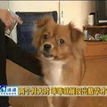 夫妻俩谁的基因决定了孩子的外貌和智商？真相竟然是……_3