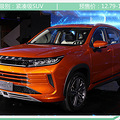 ÿ���"������" �̵�2019�ɶ���չ19���ذ�SUV_3