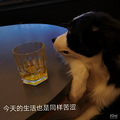 找到了，谢谢_5