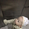【带娃打卡】国庆第六天去菠萝家玩_1