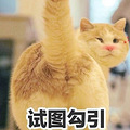闺蜜的搜索框竟然有这个？这次被我发现了吧！_3