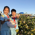 最美校园农场等你来点赞！_3