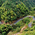 浙江有8条绝美自驾盘山公路，前一秒心跳加速，后一秒美哭_0