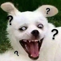 啥时候放寒假？答案来了！假期最长的学校竟然是…_1