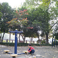 【萌娃秋游啦】抓住秋天的尾巴，捡一捡落叶_3