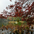 西湖秋景正当时_0