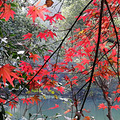 西湖秋景正当时_1