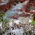 西湖秋景正当时_2