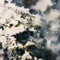 「山药芡实排骨汤」健脾又滋补，大雪节气煮一锅全家喝_4