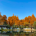 杭州老房子 · 郭庄，周未好天气赏景正当时。_2