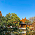 杭州老房子 · 郭庄，周未好天气赏景正当时。_3