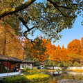 杭州老房子 · 郭庄，周未好天气赏景正当时。_4