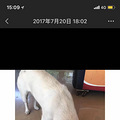 原来幸福如此短暂_0