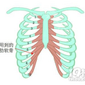 杭州时光整容-鼻子对侧颜的影响，简直教科书级别！_3