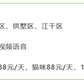 人不如猫！寄养宠物，有新招！_2